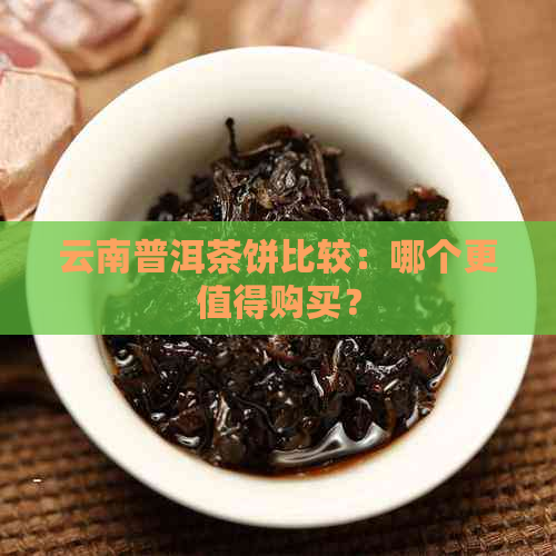 云南普洱茶饼比较：哪个更值得购买？