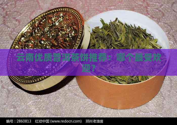 云南优质普洱茶饼推荐：哪个更受欢迎？