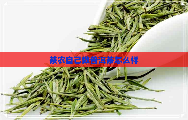 茶农自己做普洱茶怎么样