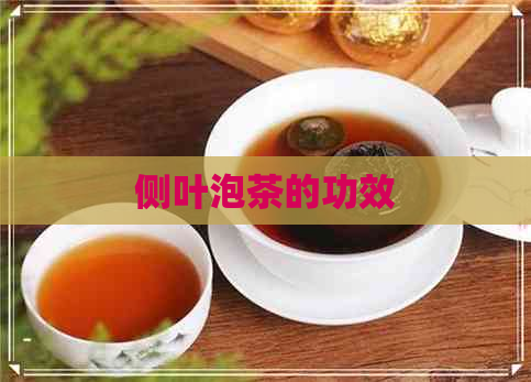 侧叶泡茶的功效