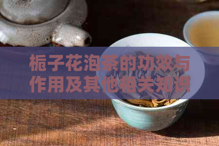 栀子花泡茶的功效与作用及其他相关知识