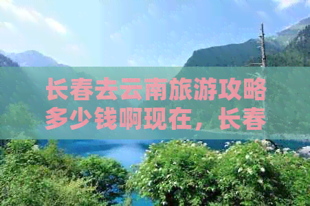 长春去云南旅游攻略多少钱啊现在，长春出发去云南旅游攻略