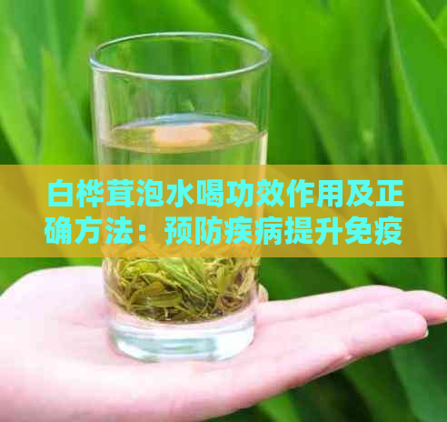 白桦茸泡水喝功效作用及正确方法：预防疾病提升免疫力