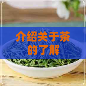 介绍关于茶的了解