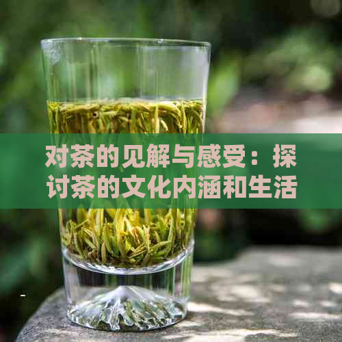 对茶的见解与感受：探讨茶的文化内涵和生活哲学