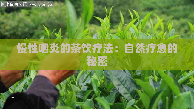 慢性咽炎的茶饮疗法：自然疗愈的秘密