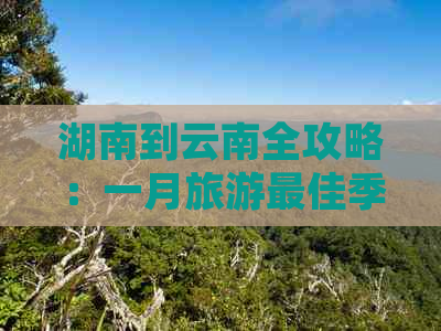 湖南到云南全攻略：一月旅游更佳季节、景点推荐、交通方式及住宿信息详解