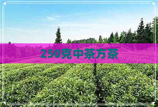 250克中茶方茶