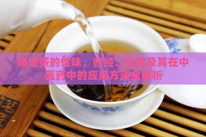 矮地茶的性味、归经、功效及其在中医药中的应用方法全解析