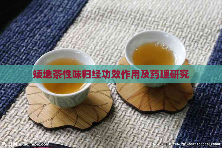 矮地茶性味归经功效作用及药理研究