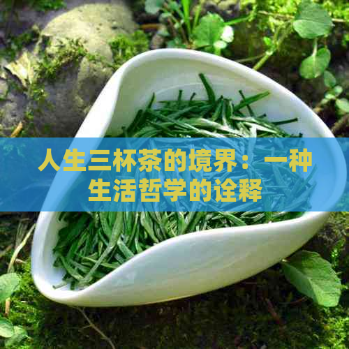 人生三杯茶的境界：一种生活哲学的诠释