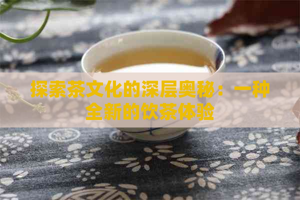 探索茶文化的深层奥秘：一种全新的饮茶体验