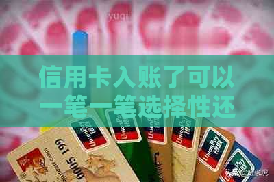 信用卡入账了可以一笔一笔选择性还款吗？怎么办