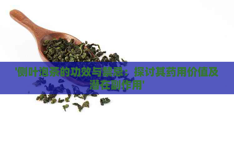 '侧叶泡茶的功效与禁忌：探讨其药用价值及潜在副作用'