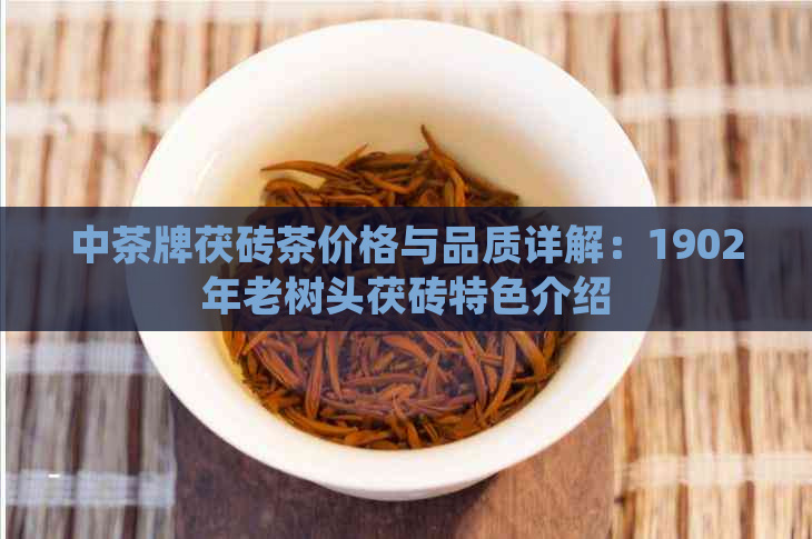 中茶牌茯砖茶价格与品质详解：1902年老树头茯砖特色介绍