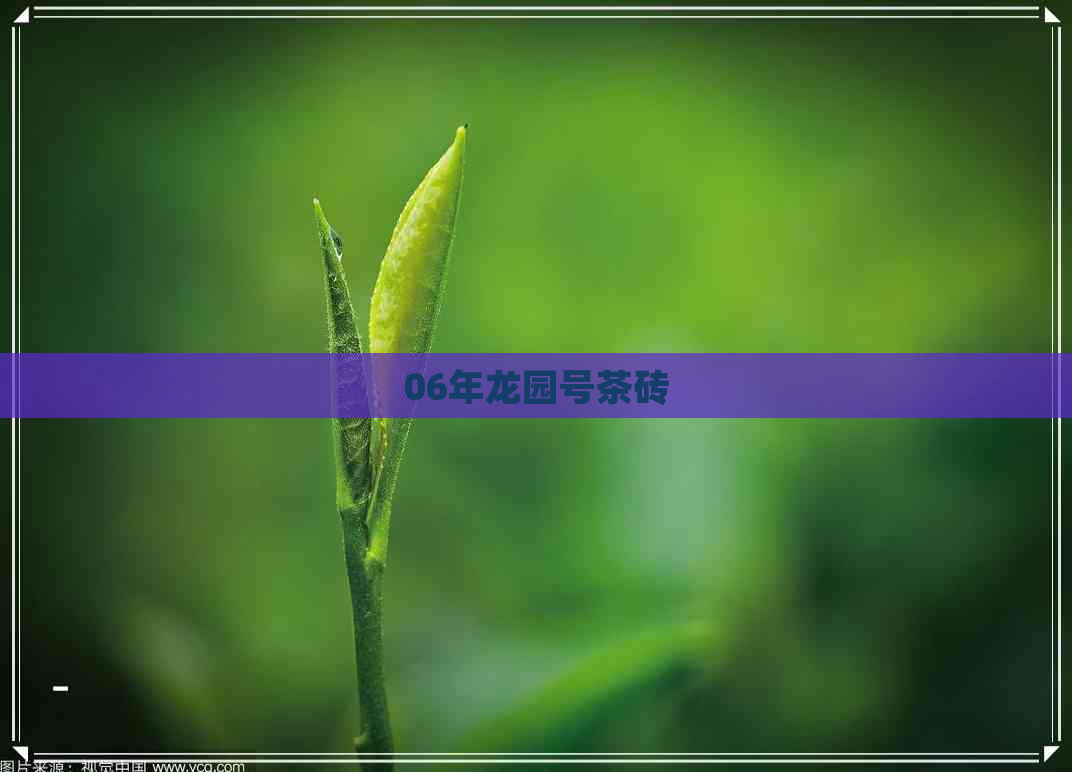 06年龙园号茶砖