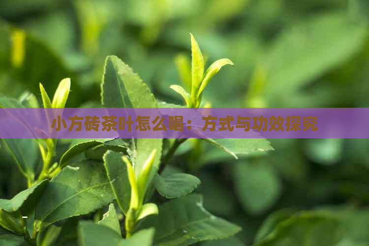 小方砖茶叶怎么喝：方式与功效探究