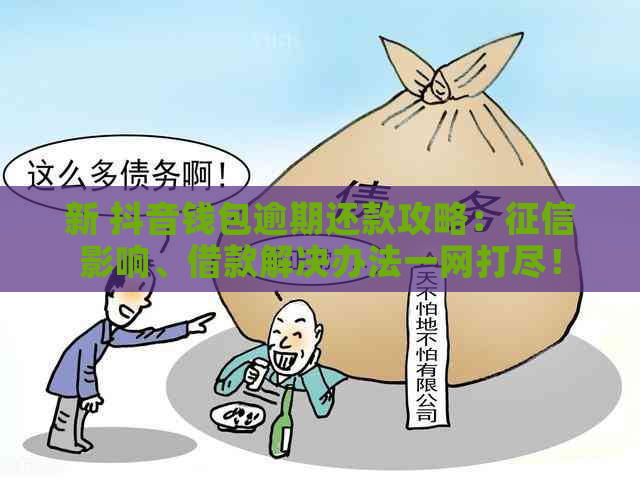 新 抖音钱包逾期还款攻略：影响、借款解决办法一网打尽！