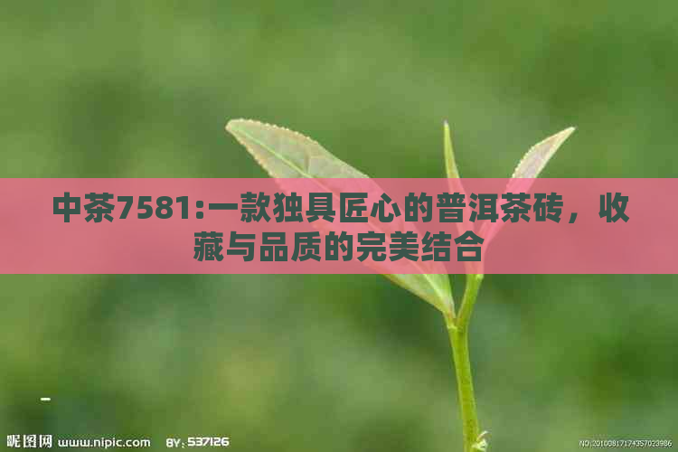 中茶7581:一款独具匠心的普洱茶砖，收藏与品质的完美结合