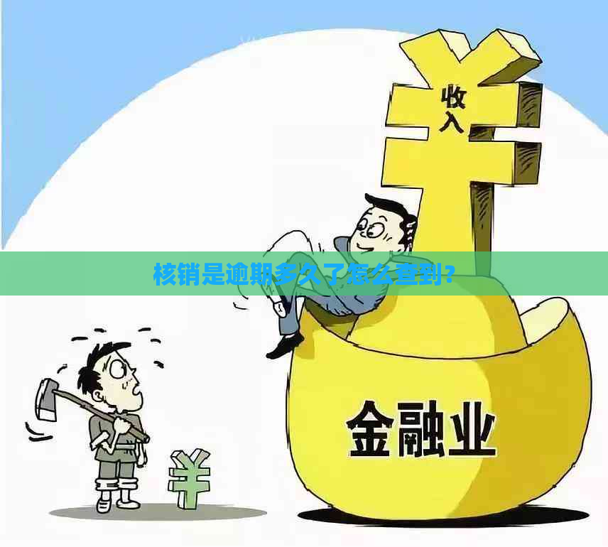 核销是逾期多久了怎么查到？