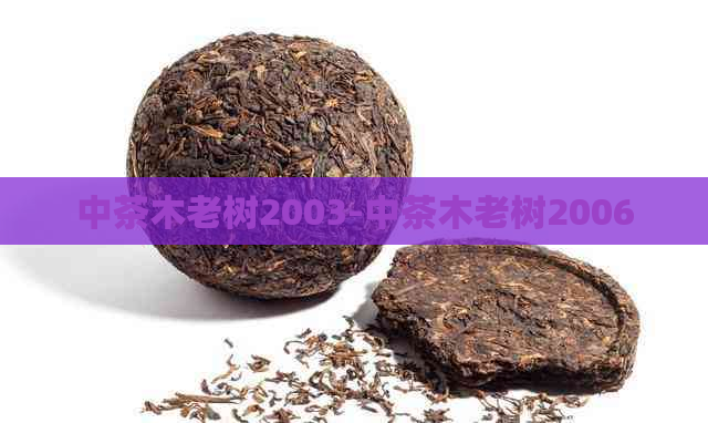 中茶木老树2003-中茶木老树2006