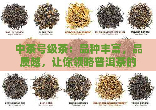 中茶号级茶：品种丰富，品质越，让你领略普洱茶的独特魅力