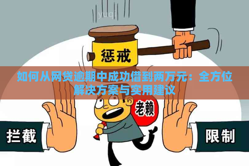 如何从网贷逾期中成功借到两万元：全方位解决方案与实用建议