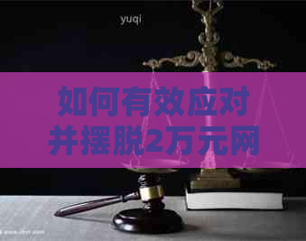 如何有效应对并摆脱2万元网贷债务？一份全面指南助你脱坑