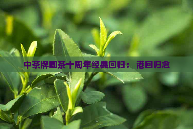 中茶牌圆茶十周年经典回归： 港回归念