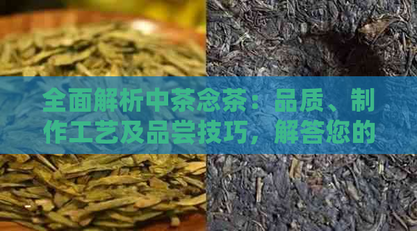 全面解析中茶念茶：品质、制作工艺及品尝技巧，解答您的所有疑问