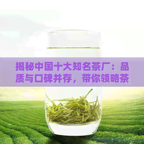 揭秘中国十大知名茶厂：品质与口碑并存，带你领略茶叶制作的精工艺！