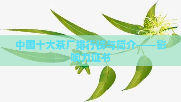 中国十大茶厂排行榜与简介——影响力证书