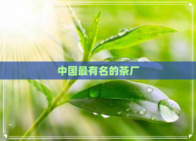 中国最有名的茶厂