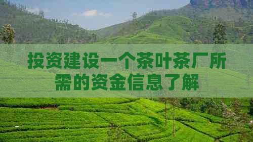 投资建设一个茶叶茶厂所需的资金信息了解