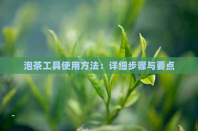 泡茶工具使用方法：详细步骤与要点