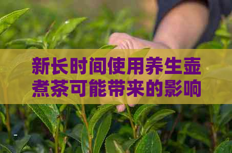 新长时间使用养生壶煮茶可能带来的影响及预防措