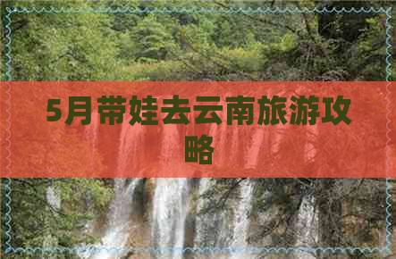 5月带娃去云南旅游攻略