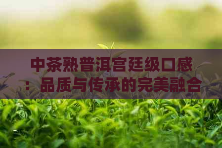 中茶熟普洱宫廷级口感：品质与传承的完美融合