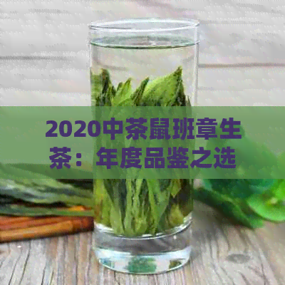 2020中茶鼠班章生茶：年度品鉴之选