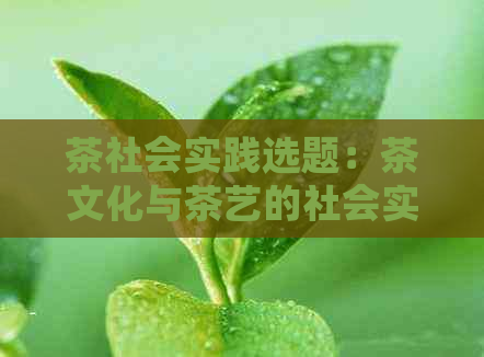 茶社会实践选题：茶文化与茶艺的社会实践报告