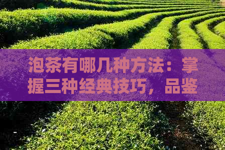 泡茶有哪几种方法：掌握三种经典技巧，品鉴口感