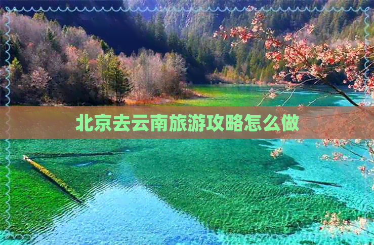 北京去云南旅游攻略怎么做