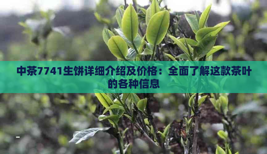 中茶7741生饼详细介绍及价格：全面了解这款茶叶的各种信息