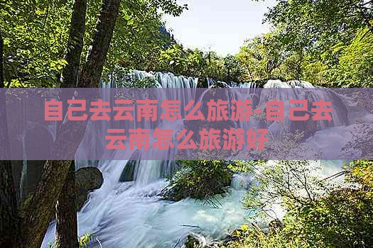 自己去云南怎么旅游-自己去云南怎么旅游好