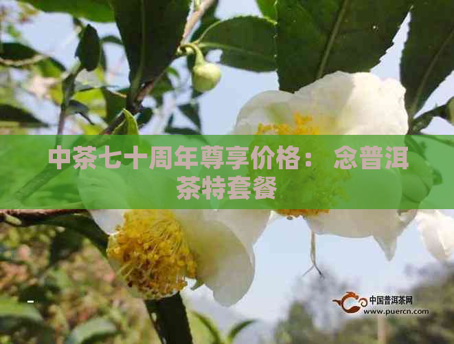 中茶七十周年尊享价格： 念普洱茶特套餐