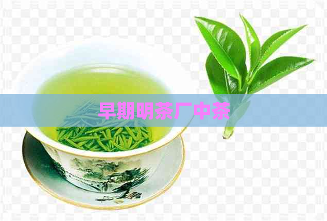 早期明茶厂中茶