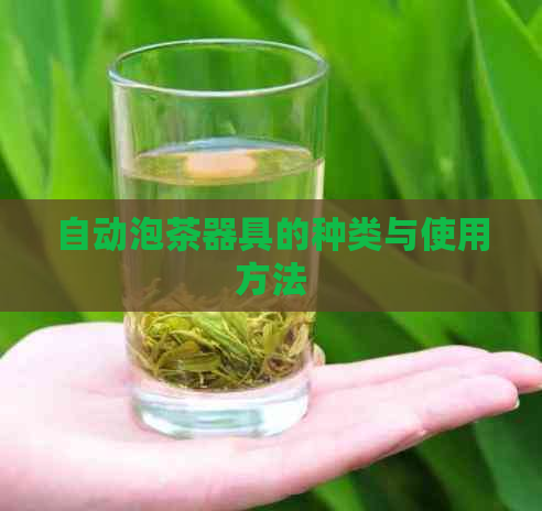 自动泡茶器具的种类与使用方法