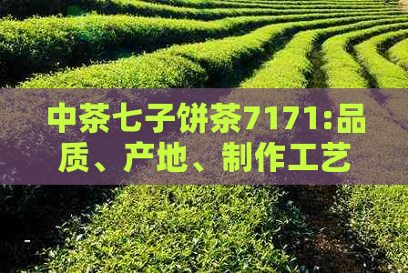 中茶七子饼茶7171:品质、产地、制作工艺、口感及品鉴方法全方位解析