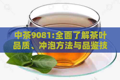 中茶9081:全面了解茶叶品质、冲泡方法与品鉴技巧，让你成为茶叶专家