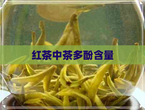 红茶中茶多酚含量